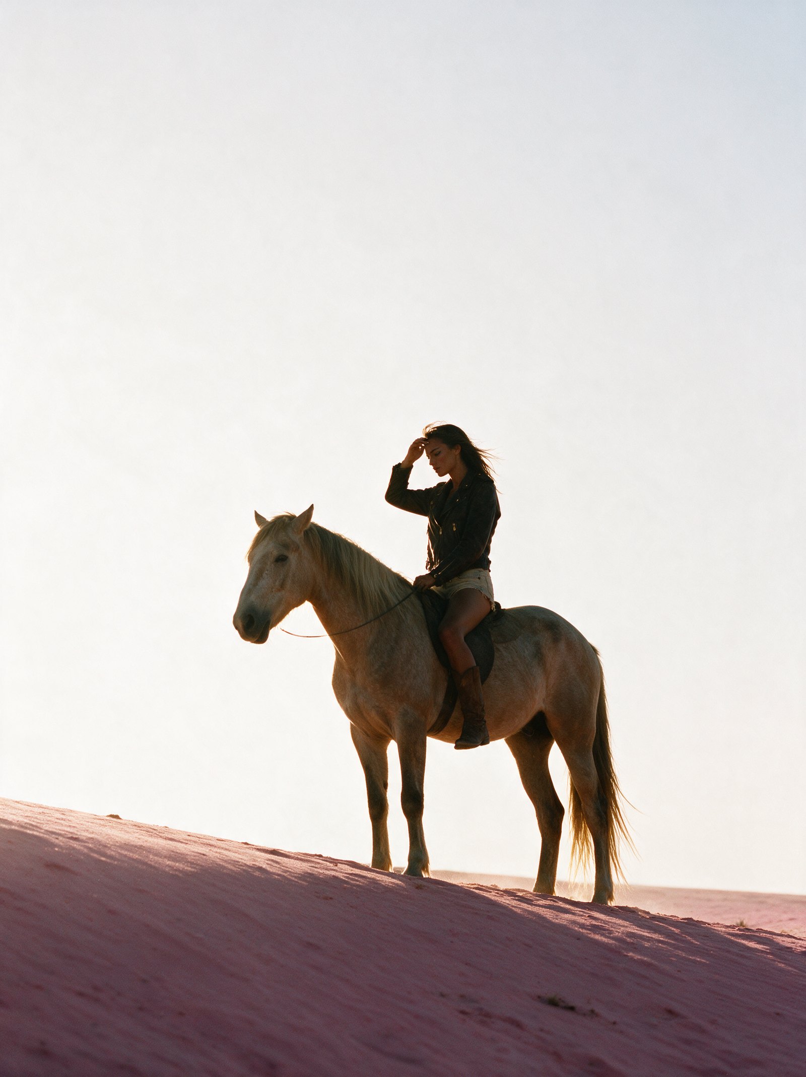 Diesel — silhouette against the sun
